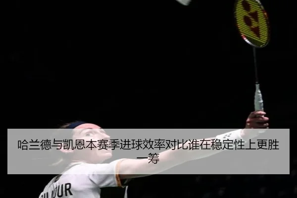哈兰德与凯恩本赛季进球效率对比谁在稳定性上更胜一筹